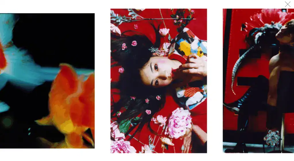 蜷川實花官網出版品 Mika Ninagawa (2010) Introduction By Daido Moriyama 線上瀏覽畫面