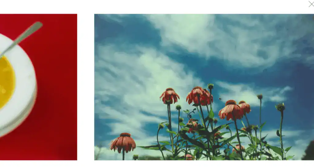 蜷川實花官網出版品 Pink Rose Suite (2001) 線上瀏覽畫面