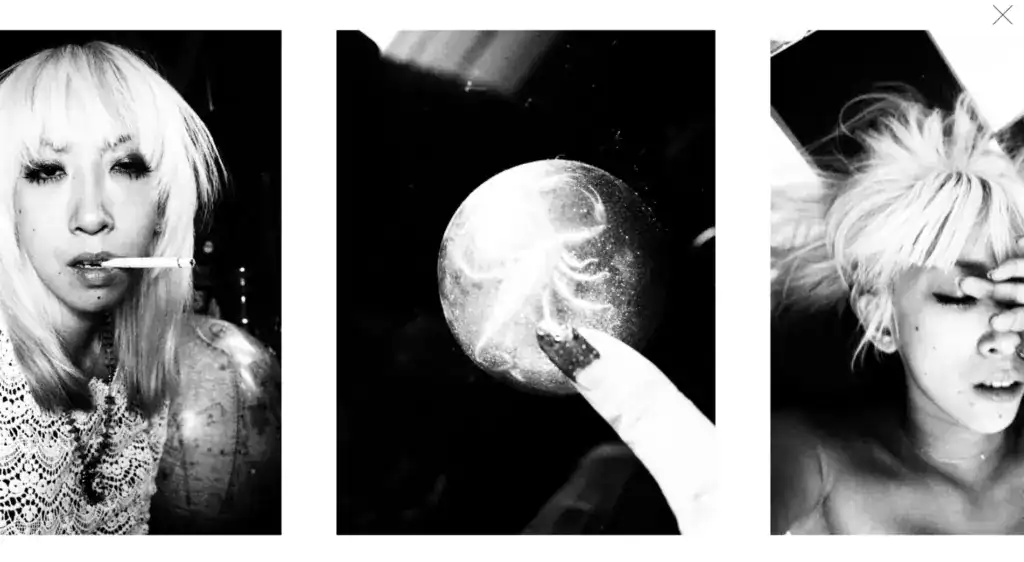 蜷川實花官網出版品 Self-Image (2013) 線上瀏覽畫面